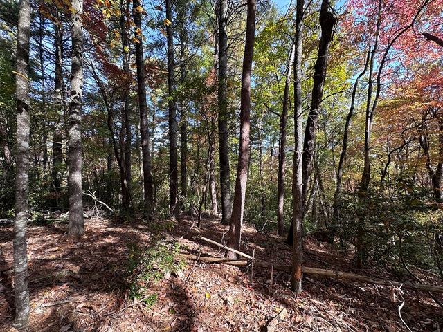 TBD Atoah Loop, Murphy, NC 28906