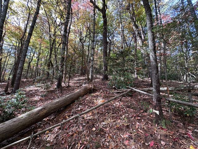 TBD Atoah Loop, Murphy, NC 28906