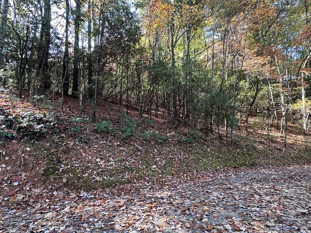TBD Atoah Loop, Murphy, NC 28906