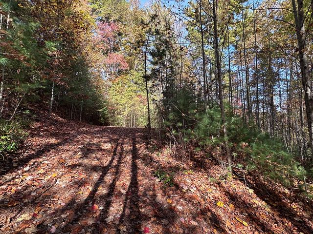 TBD Atoah Loop, Murphy, NC 28906