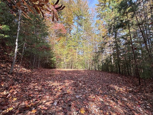 TBD Atoah Loop, Murphy, NC 28906