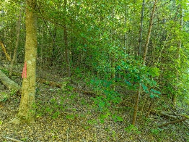LOT 52 Creek Trail, Ellijay, GA 30540
