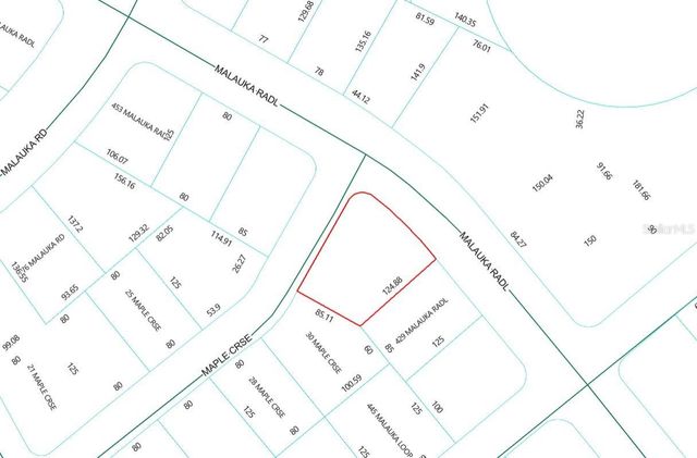 Lot 1 MALUKA RADIAL, Ocklawaha, FL 32179