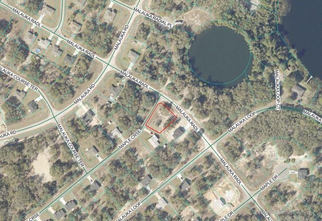 Lot 1 MALUKA RADIAL, Ocklawaha, FL 32179