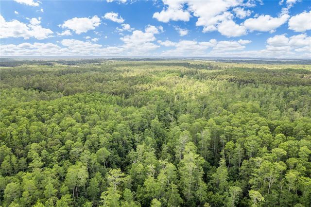 2362 NE COUNTY ROAD 1469, Hawthorne, FL 32640