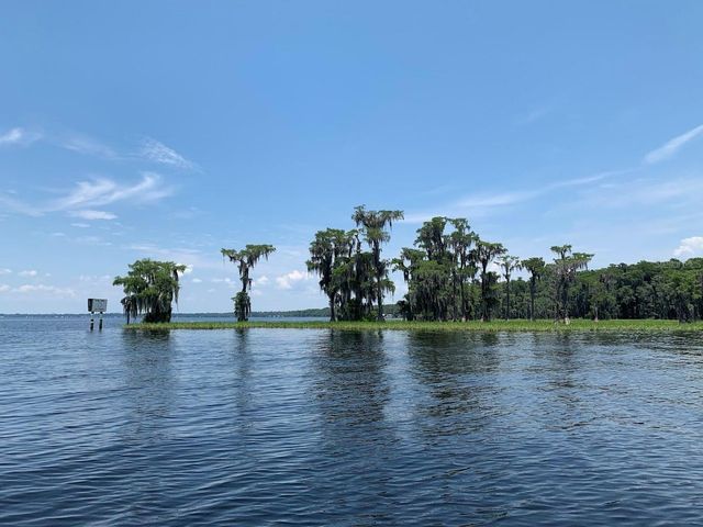 2362 NE COUNTY ROAD 1469, Hawthorne, FL 32640