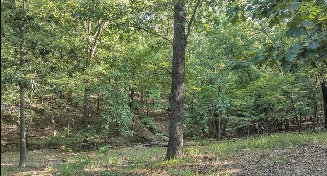 30958 Pack Trail, Afton, OK 74331