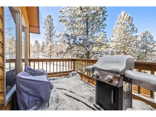121 Iris Dr, Bailey, CO 80421