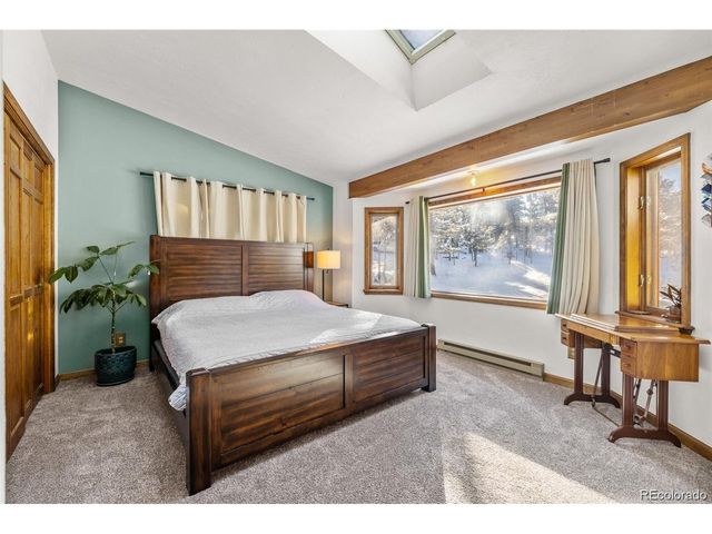 121 Iris Dr, Bailey, CO 80421