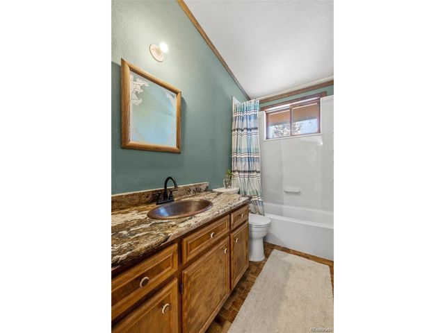 121 Iris Dr, Bailey, CO 80421