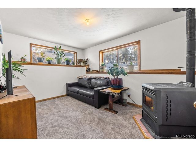 121 Iris Dr, Bailey, CO 80421