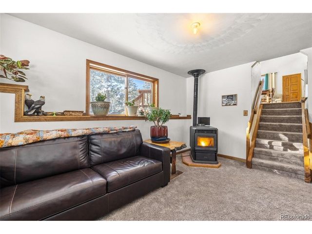 121 Iris Dr, Bailey, CO 80421