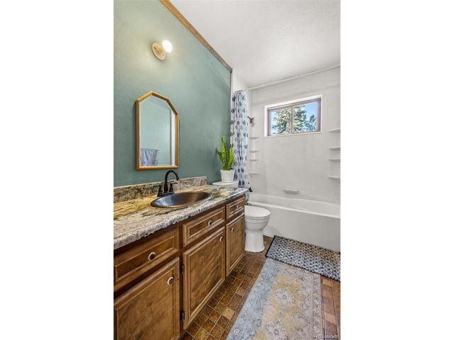 121 Iris Dr, Bailey, CO 80421