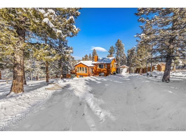 121 Iris Dr, Bailey, CO 80421