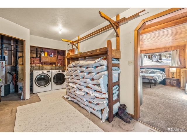 121 Iris Dr, Bailey, CO 80421
