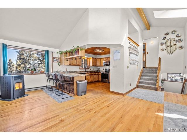 121 Iris Dr, Bailey, CO 80421