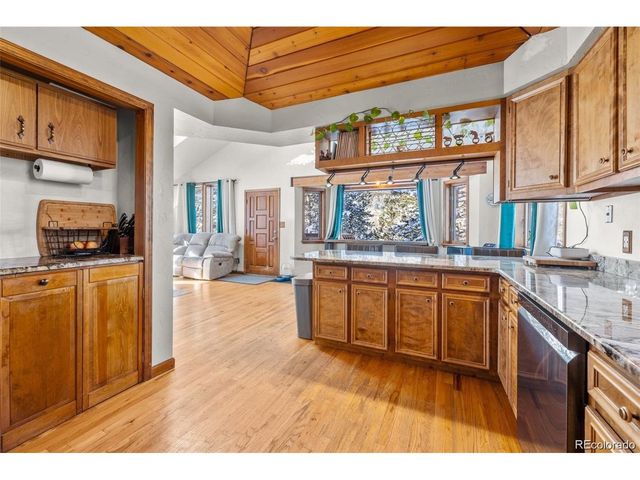 121 Iris Dr, Bailey, CO 80421