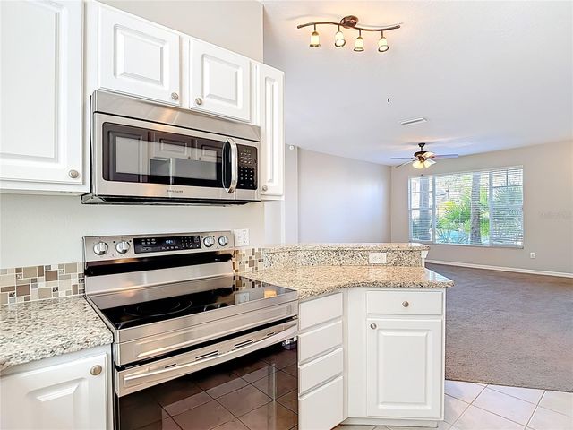 12332 COUNTRY WHITE CIRCLE, Tampa, FL 33635