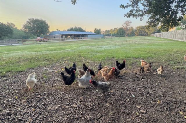 959 Kennings Road, Crosby, TX 77532