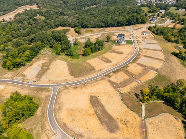 9906 Amarosa Court, Brentwood, TN 37027