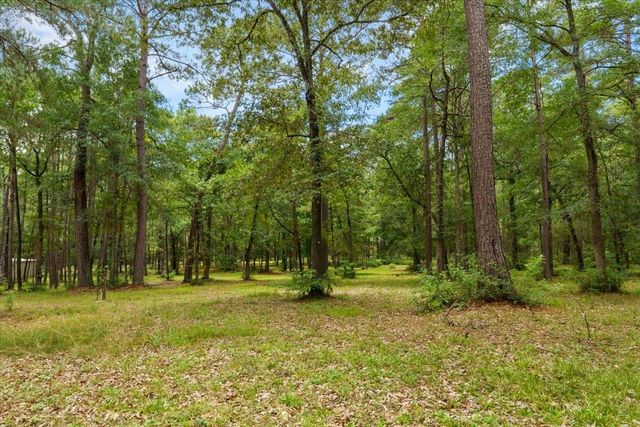 16375 Grand Flower Road, Plantersville, TX 77363