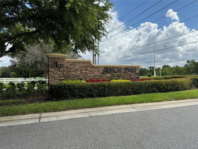 11969 WATER RUN ALLEY, Windermere, FL 34786