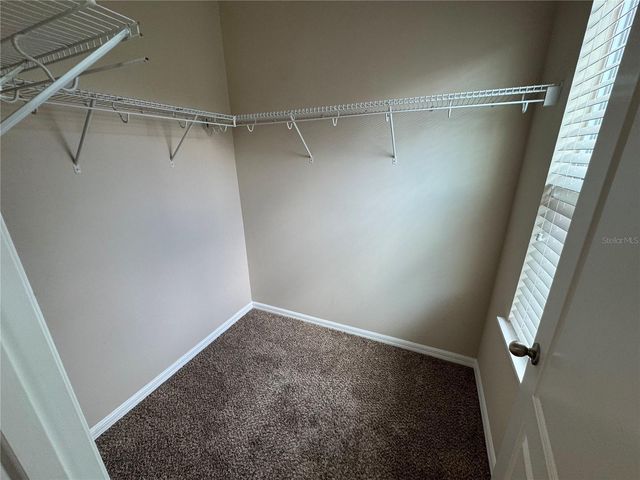 11969 WATER RUN ALLEY, Windermere, FL 34786