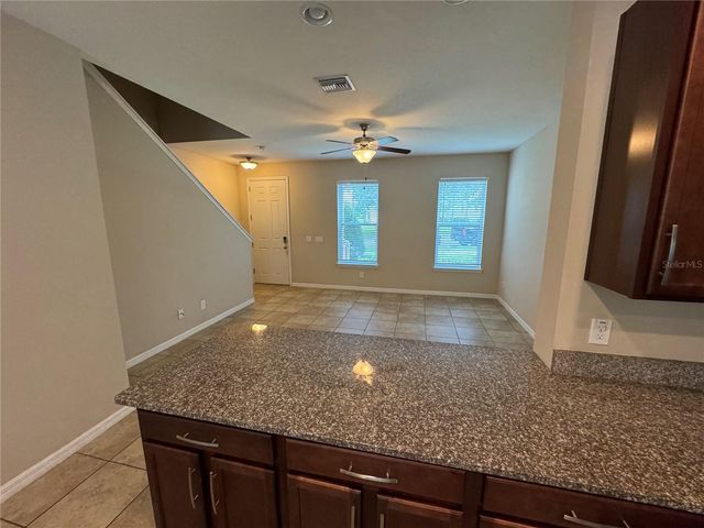 11969 WATER RUN ALLEY, Windermere, FL 34786