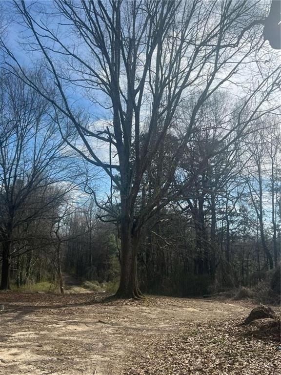 Image 1 of property listing at 98 Pine Shadows Drive, Dallas, GA 30157
