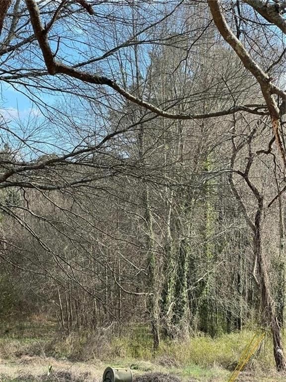 Image 2 of property listing at 98 Pine Shadows Drive, Dallas, GA 30157