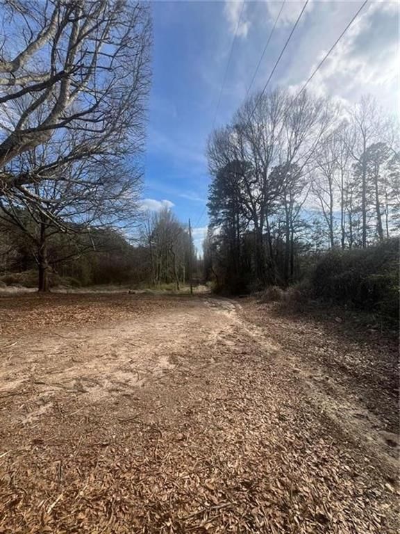 Image 4 of property listing at 98 Pine Shadows Drive, Dallas, GA 30157