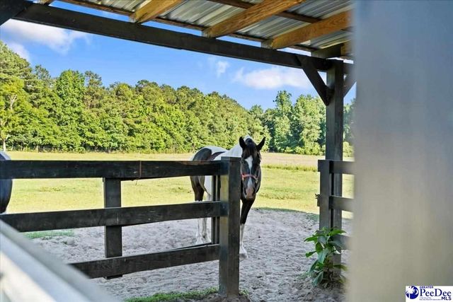 3370 Johnsonville Hwy, Lake City, SC 29560