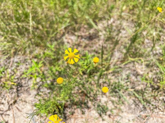 05 Cr 364e, Zavalla, TX 75980