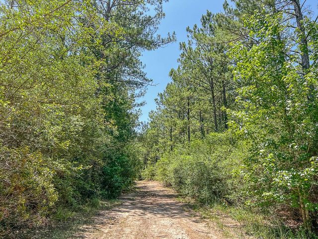 05 Cr 364e, Zavalla, TX 75980