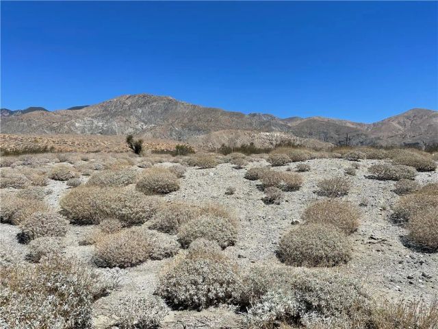 55200 Hatton, Whitewater, CA 92282