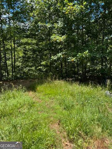 220 Friendship Trail, Talking Rock, GA 30175