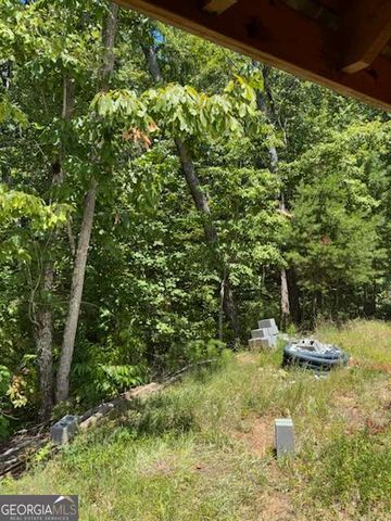220 Friendship Trail, Talking Rock, GA 30175