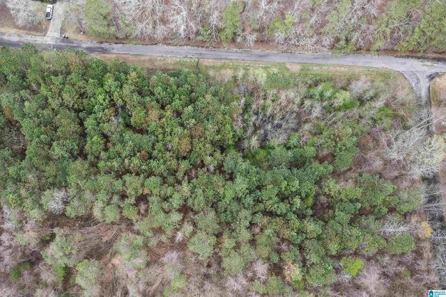 0 WOODLAND COURT, Weaver, AL 36277