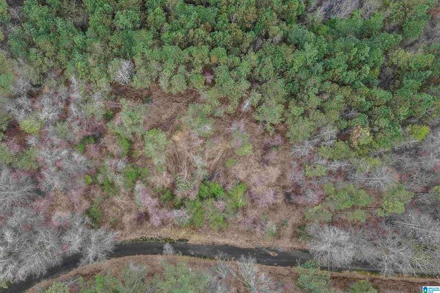 0 WOODLAND COURT, Weaver, AL 36277