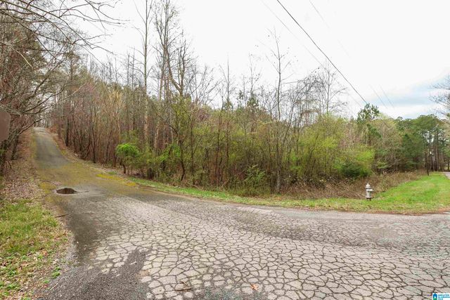 0 WOODLAND COURT, Weaver, AL 36277