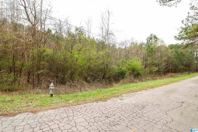 0 WOODLAND COURT, Weaver, AL 36277