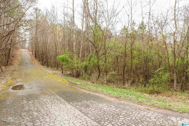 0 WOODLAND COURT, Weaver, AL 36277