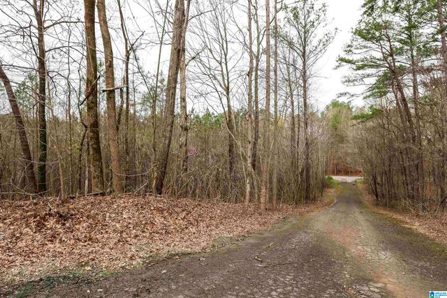 0 WOODLAND COURT, Weaver, AL 36277