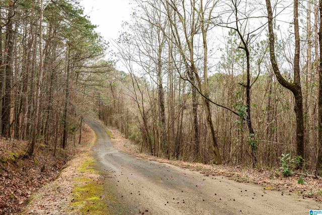 0 WOODLAND COURT, Weaver, AL 36277