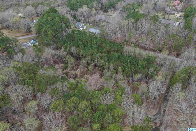 0 WOODLAND COURT, Weaver, AL 36277