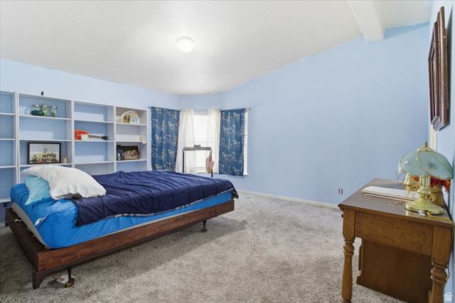 718 S 200 W, Mt Pleasant, UT 84647