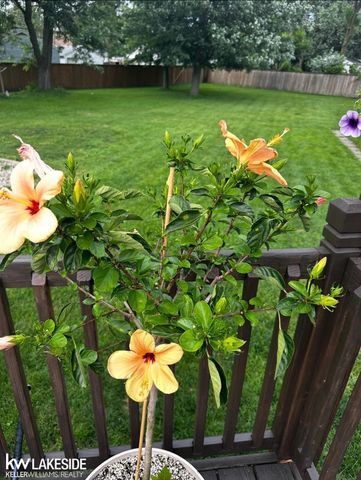 14921 Eleanor Avenue, Warren, MI 48089