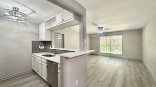 1311 Antoine Drive 219, Houston, TX 77055