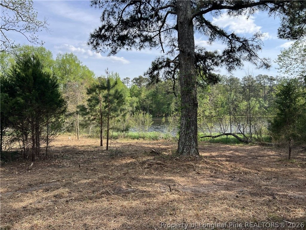 tbd (9 acres) NC 27 W, Lillington, NC 27546 — photo 16