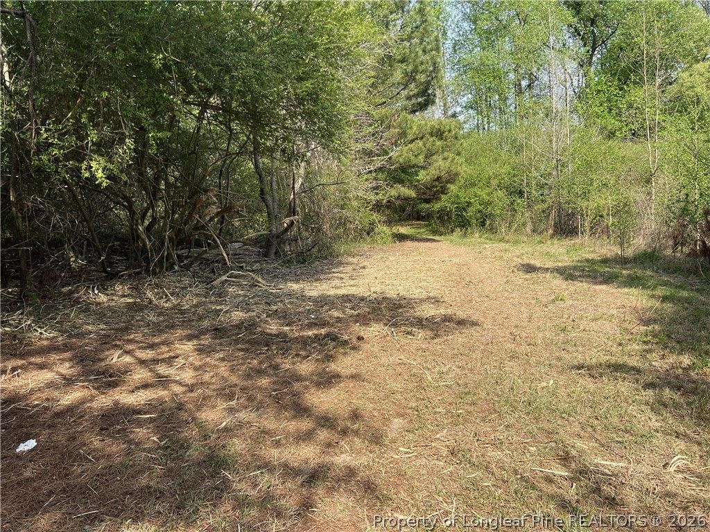 tbd (9 acres) NC 27 W, Lillington, NC 27546 — photo 18
